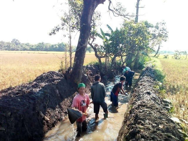 Normalisasi Saluran Sekunder Krengi Ds.Tampung Kec. Rembang (Th. 2018)